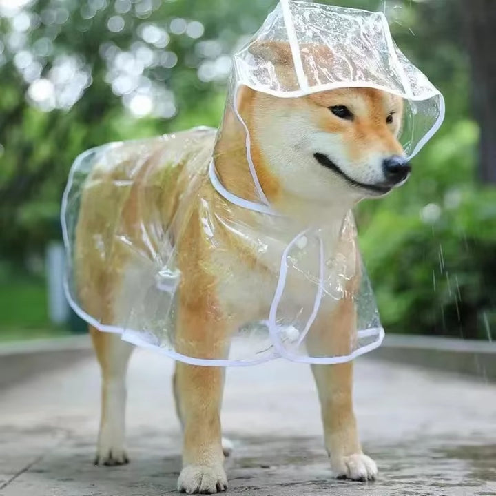 "Transparent Pet Raincoat with Hood for Small Dogs"
