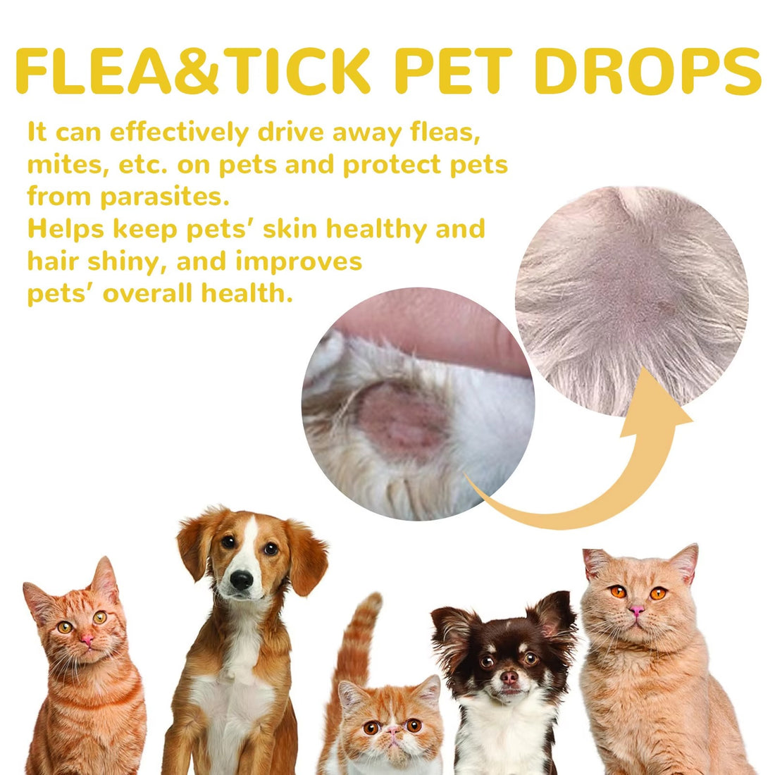 Effective Cat Anti-Flea Drops - External Insect Repellent for Skin Itching Relief