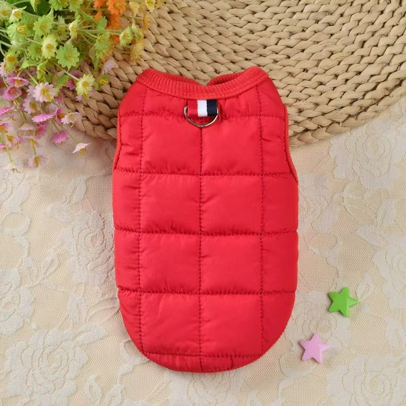 "Windproof Dog Coat Jacket for Small Dogs"