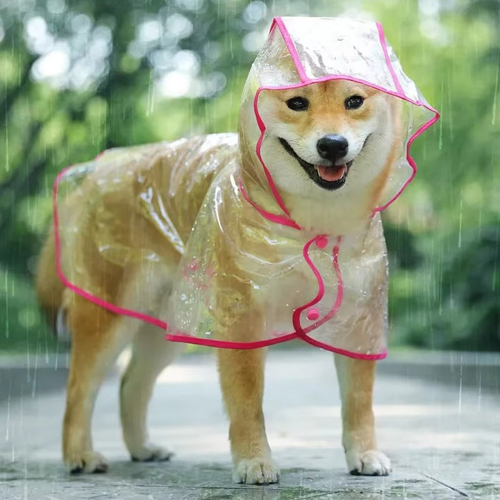 "Transparent Pet Raincoat with Hood for Small Dogs"
