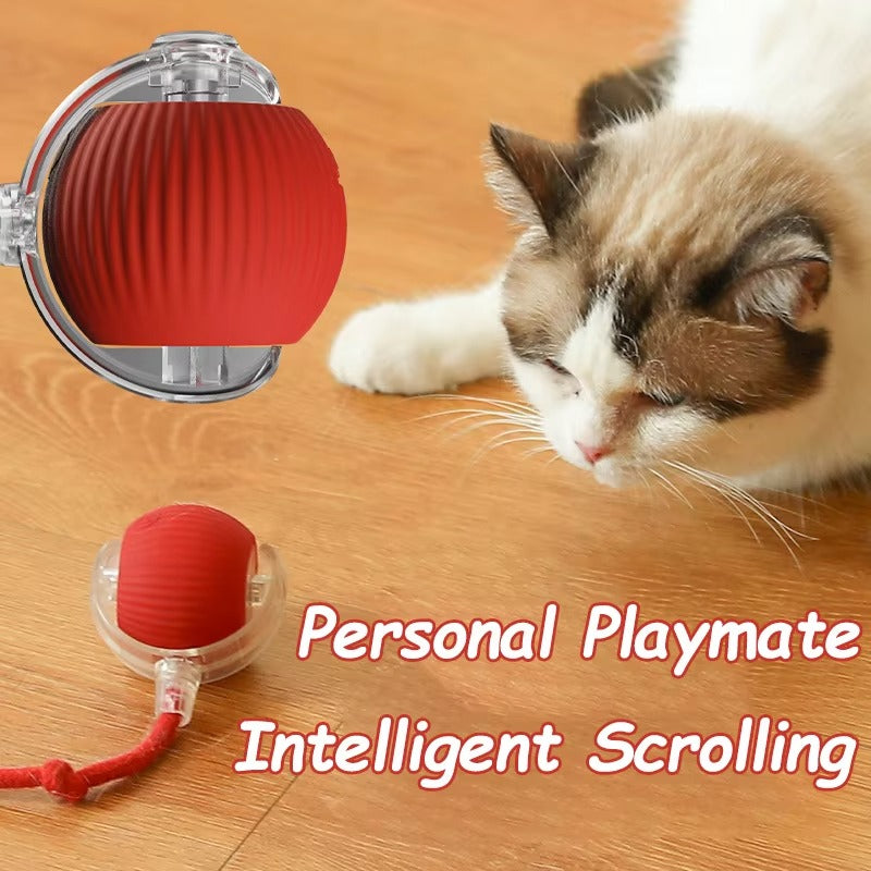 Rechargeable Rolling Ball with Faux Tail