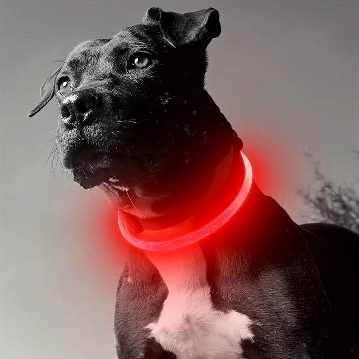 "USB Rechargeable LED Dog Collar - Anti-Lost & Luminous"