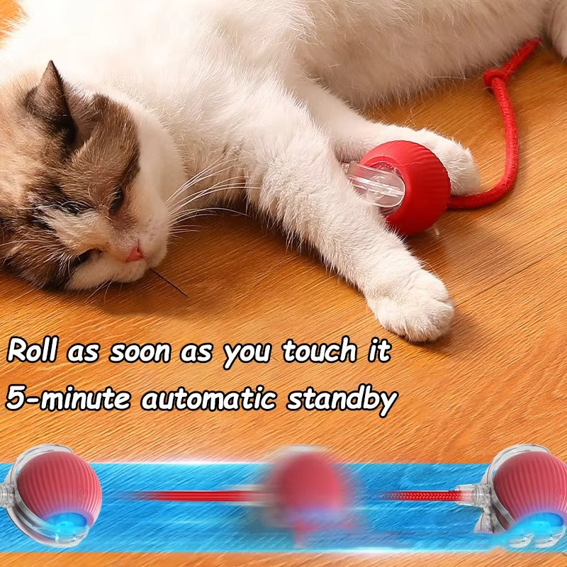 Rechargeable Rolling Ball with Faux Tail