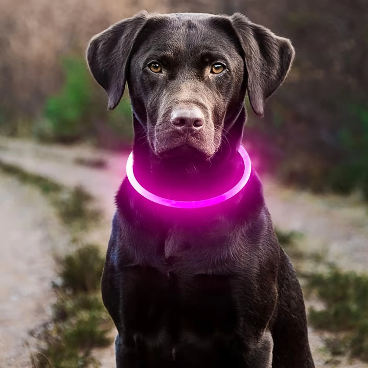 "USB Rechargeable LED Dog Collar - Anti-Lost & Luminous"